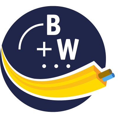 Bihl+Wiedemann BW2916 Safety software for configuration, diagnosis and programming